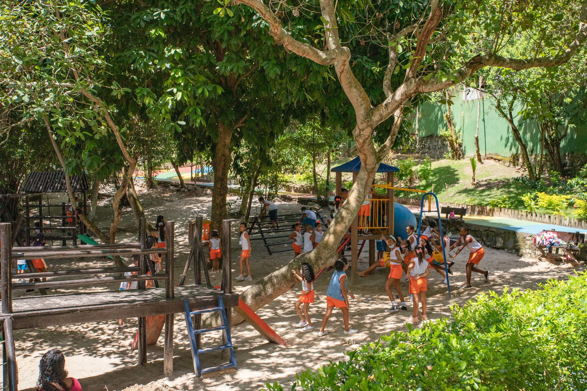 Grande Sarau reunir� diversas atra��es culturais no Parque Ecol�gico de Lauro de Freitas nesta sexta (27)